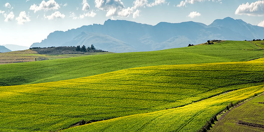 Pourquoi créer un fonds agricole ?