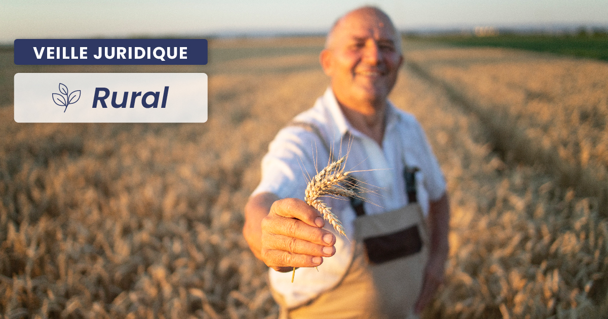 RURAL – Adaptation du Code rural et de la pêche maritime à la réglementation européenne sur la replantation des vignes 