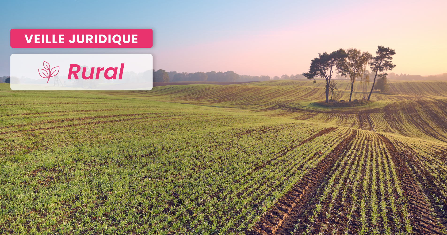 De la répétition de l’indu par le bailleur rural