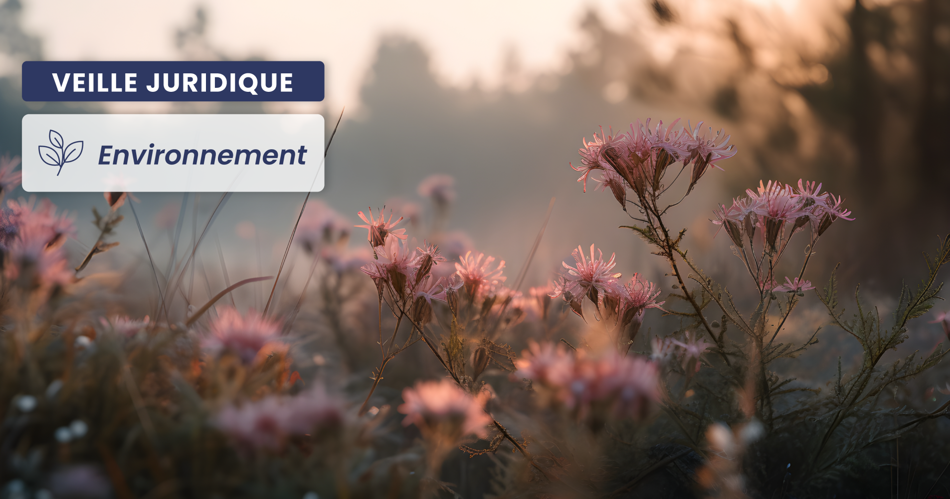 ENVIRONNEMENT – Constats des infractions environnementales et protection des terres agricoles