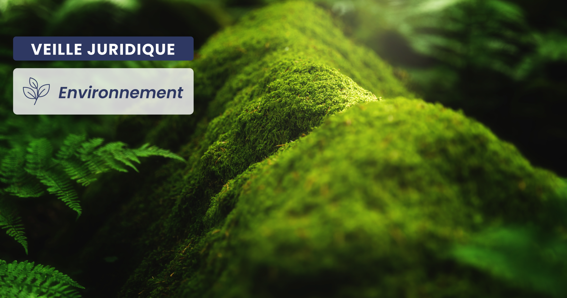 ENVIRONNEMENT – Rubriques 2251 et 2630 des ICPE : modification du régime applicable