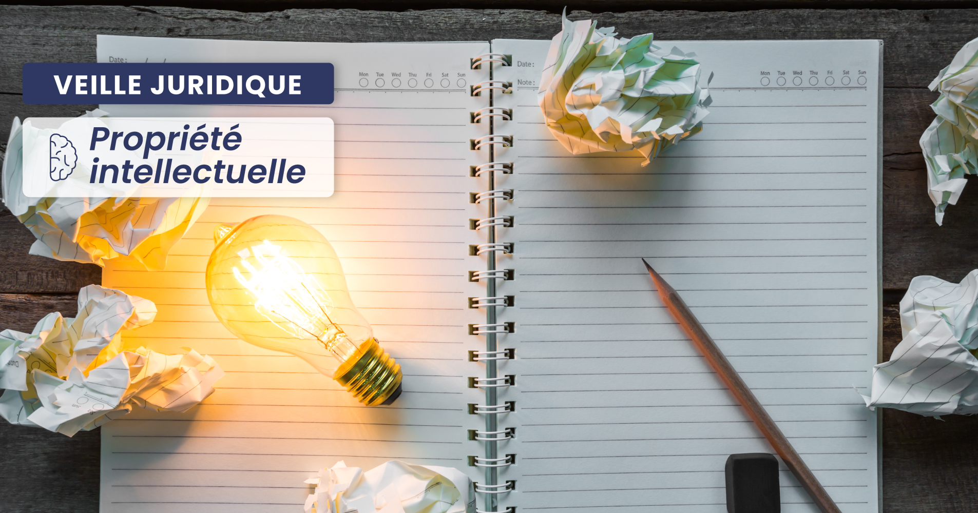 PROPRIÉTÉ INTELLECTUELLE - Marque et usage sérieux : le service de taxi ne suffit pas à sauver la marque pour toute la catégorie "transport"