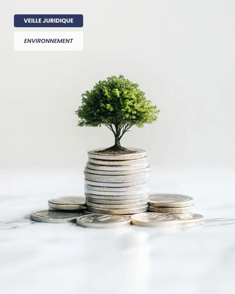 ENVIRONNEMENT – Renouvellement forestier : de nouvelles conditions pour bénéficier des aides publiques