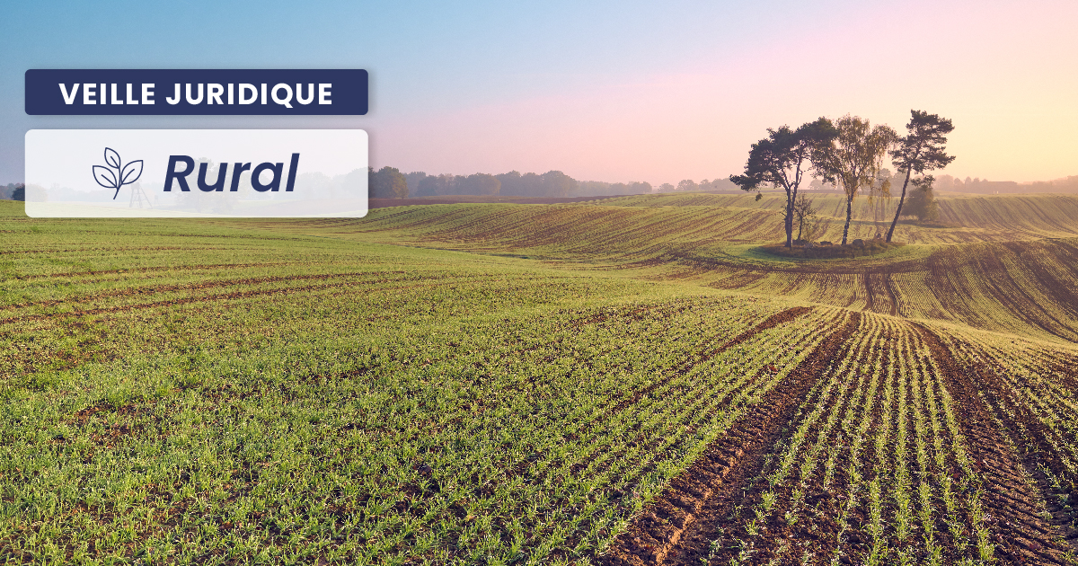 RURAL – Souveraineté agricole : nouvelles mesures de protection et de soutien aux agriculteurs